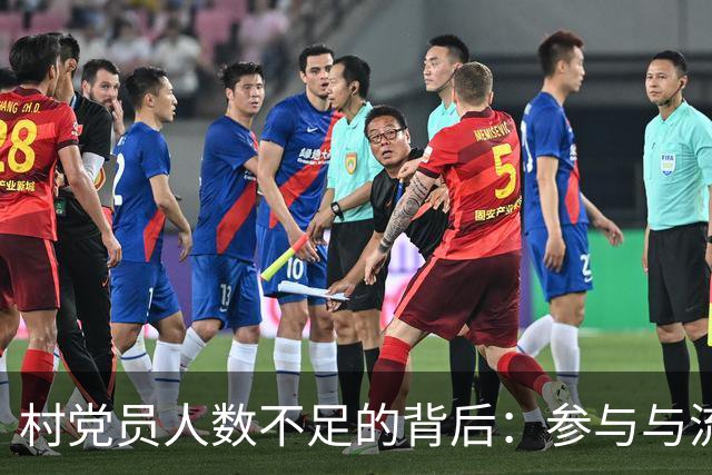 村党员人数不足的背后：参与与流动的真实困境